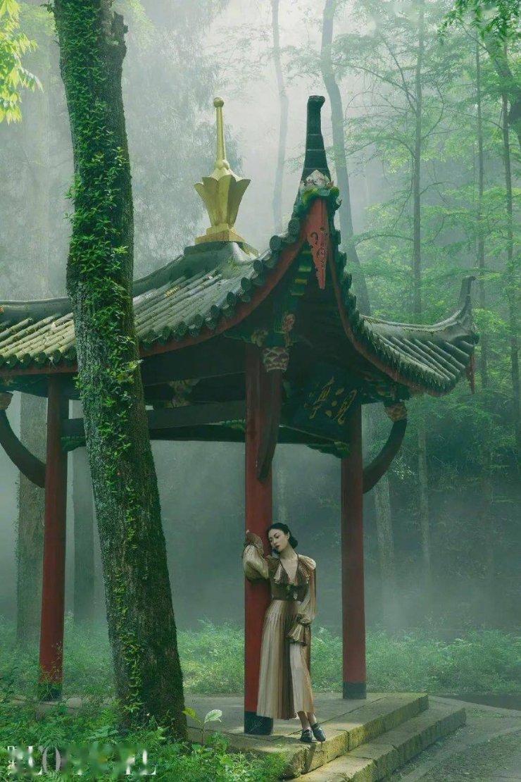 危险的亡命之徒